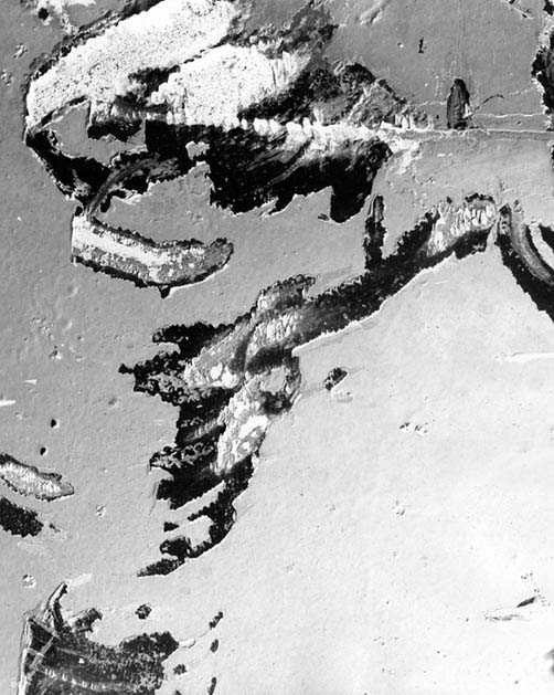  Wayne Riggs &copy; 1986, Black and White Paper Negative, 14 in. x 11in.  Exhibited in The Tampa Museum of Art, Tampa Bay, Florida 1990, Edition of 2, 1 of 2, private collection, 2 of 2, collection of the artist