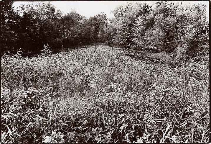 Wayne Riggs &copy; 1975, Untitled : 6 x 8 in. Sepia Photograph , Kodalith on gelation paper,Black and White version of a Brown Print , collection of the artist.