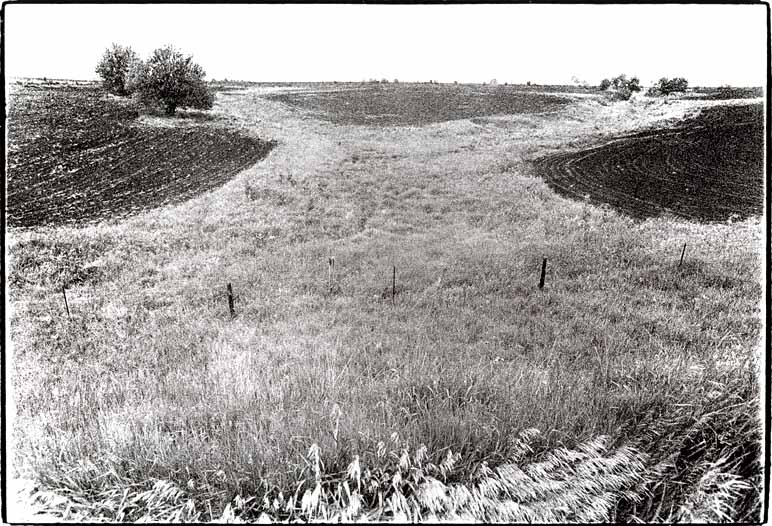 Wayne Riggs &copy; 1976, Untitled : 6 x 8 in. Sepia Photograph , Kodalith on gelation paper,Black and White version of a Brown Print , collection of the artist.