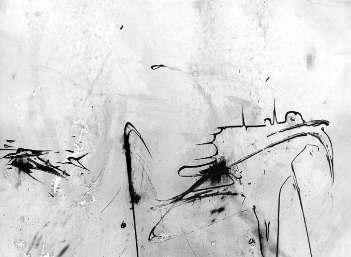 Wayne Riggs &copy; 1981, Black and White Paper Negative, 28 x 36 cm. (11 x 14 in.), Exhibited in The Tampa Museum of Art, 1990; Tampa Bay, Florida,  U.S.A. collection of the artist